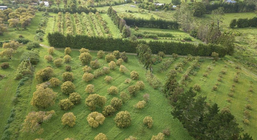  at 405 Tara Road, Mangawhai, Kaipara, Northland