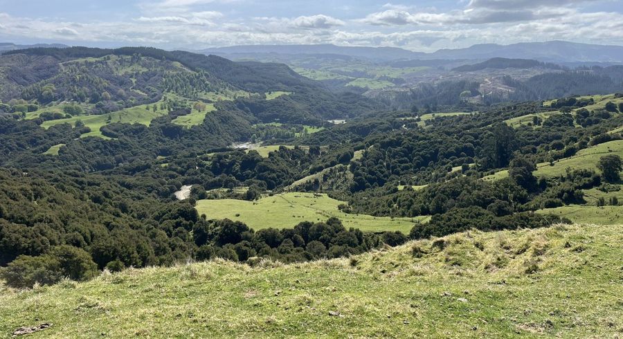  at 1050 Ellis Wallace Road, Eskdale, Hastings, Hawke's Bay