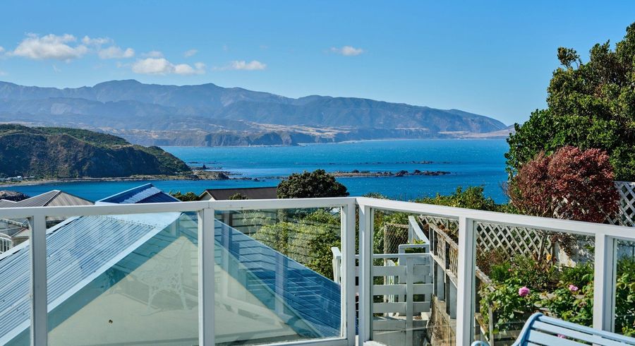  at 133 Hornsey Road, Melrose, Wellington