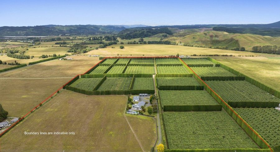  at 2155 State Highway 30, Te Teko, Whakatane, Bay Of Plenty