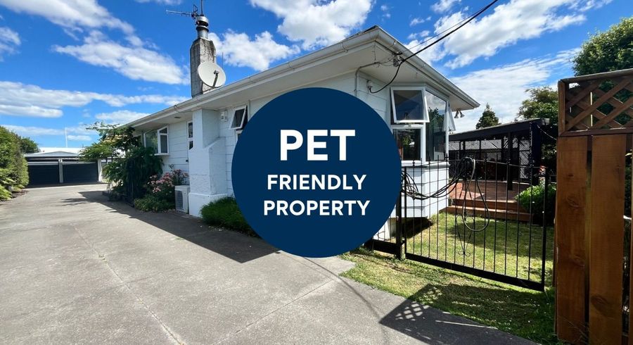  at 506A Park Road South, Akina, Hastings, Hawke's Bay