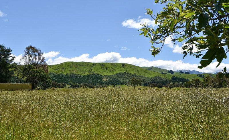  at 0 Chester Rd, Waingawa, Carterton