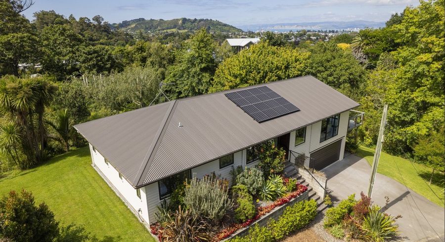  at 15 Adams Road, Whataupoko, Gisborne