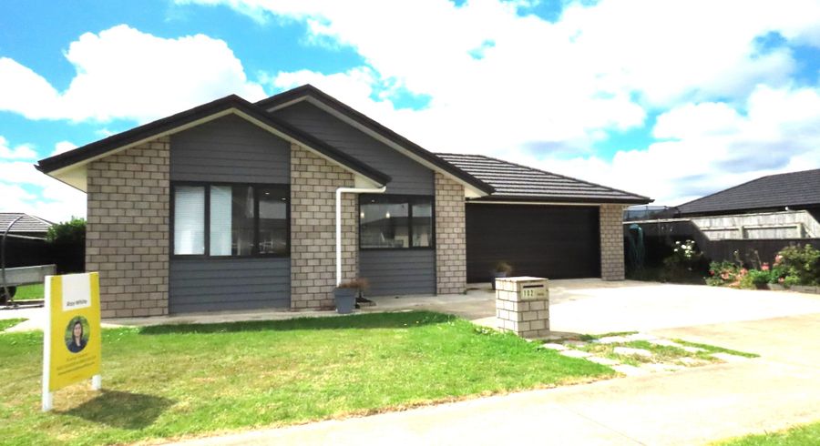 at 102 Hinemoa Street, Levin, Horowhenua, Manawatu / Whanganui
