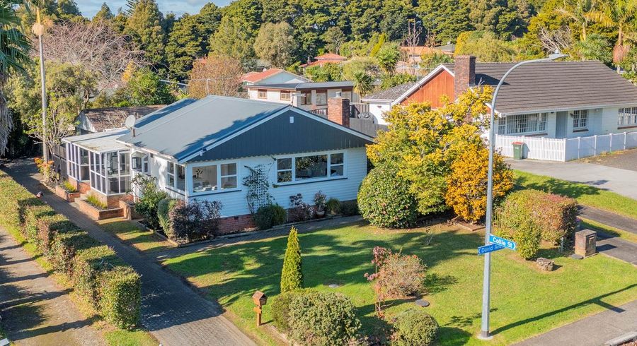  at 58 David Avenue, Hill Park, Manukau City, Auckland