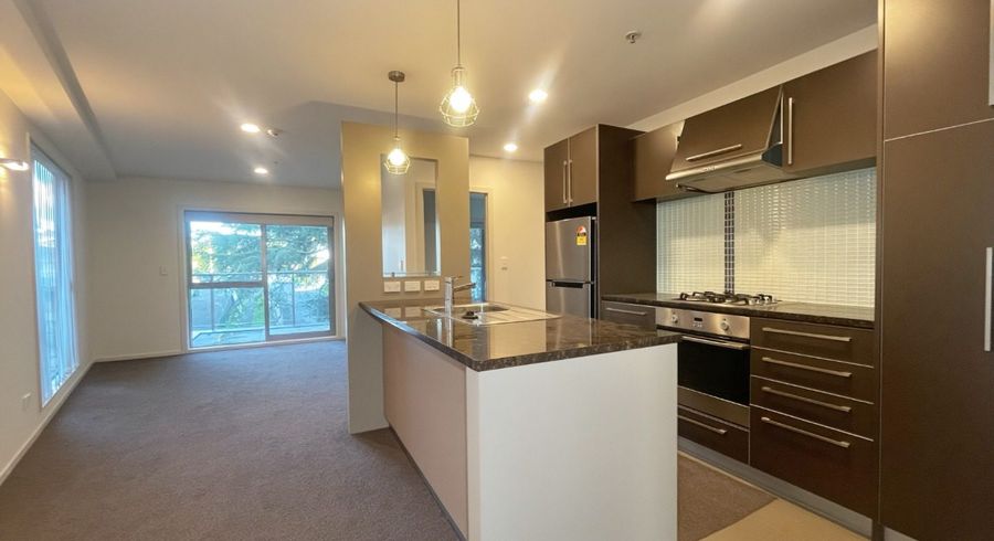  at 319/4 Wagener Place, Mount Albert, Auckland City, Auckland