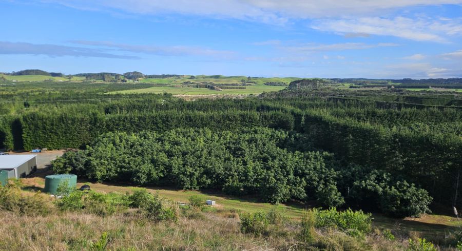  at 0 Heath Road Waiharara, Waiharara, Far North, Northland