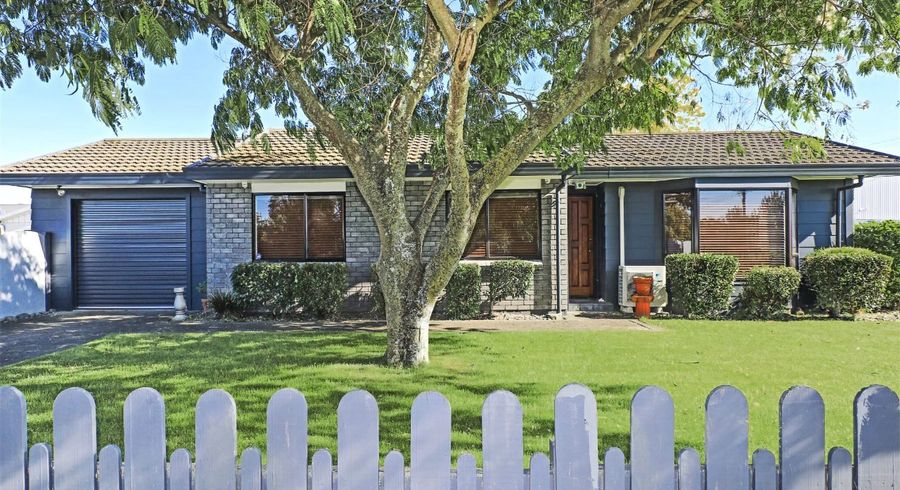  at 1102 Francis Hicks Avenue, Raureka, Hastings