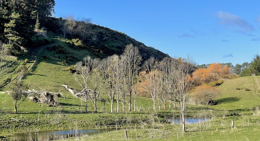  at Lot 4 Fortification Road, Weston, Waitaki, Otago