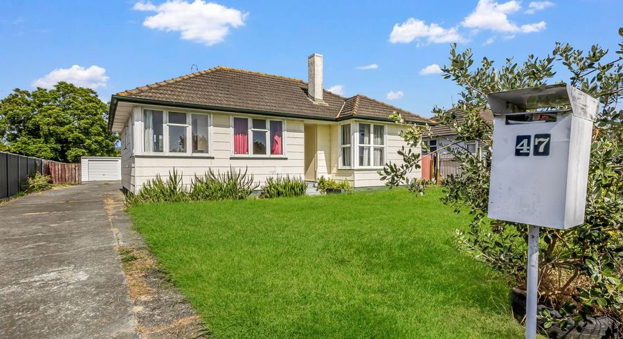  at 47 Williams Street, Marewa, Napier, Hawke's Bay