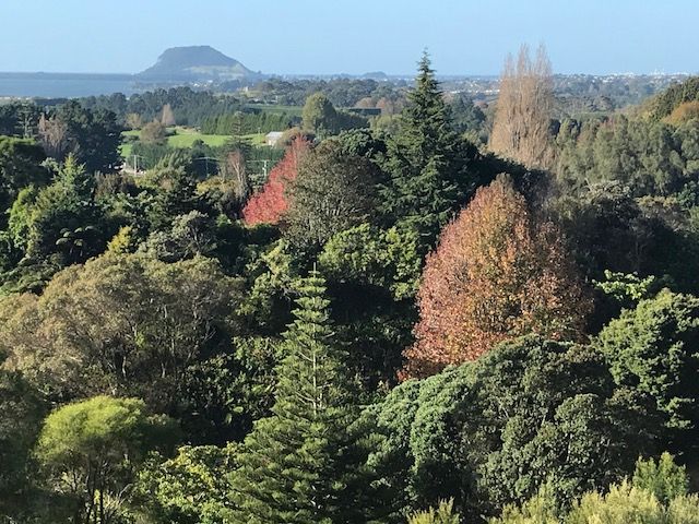 at 140A Minden Road, Minden, Tauranga