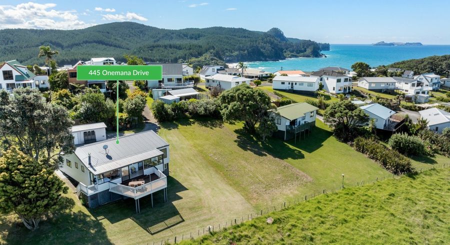  at 445 Onemana Drive, Whangamata