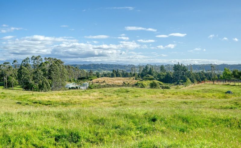  at 445 Lake Kaniere Road, BLUE SPUR, HOKITIKA