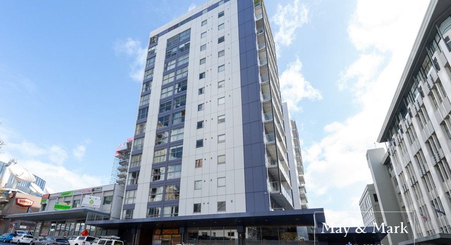  at 313/47 Hobson Street, City Centre, Auckland City, Auckland