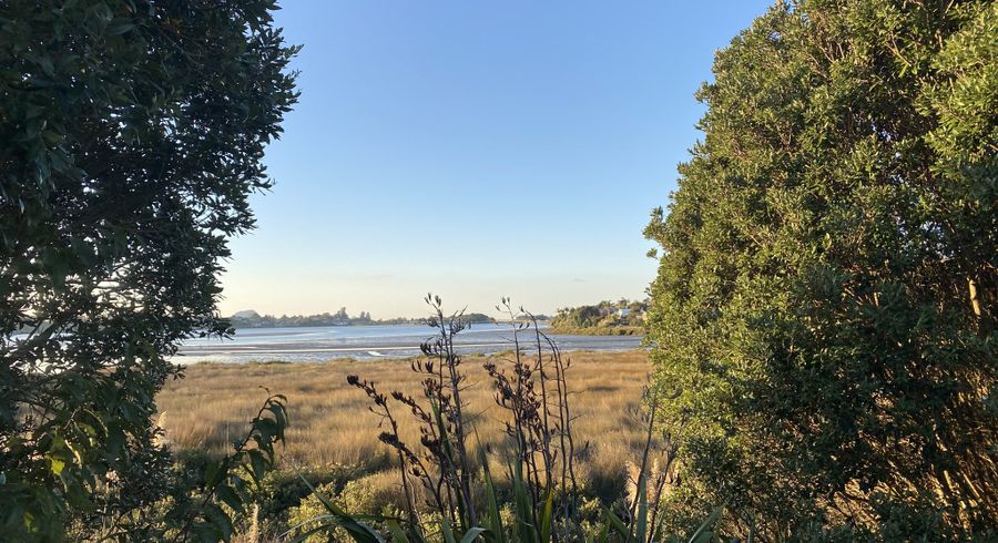  at 31 Tangaroa Place, Poike, Tauranga, Bay Of Plenty