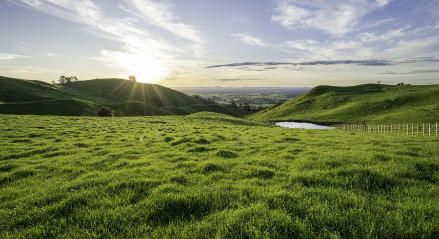  at 697 Maungakawa Road, Te Miro, Cambridge