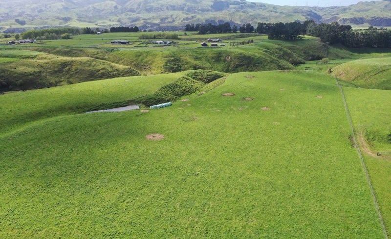  at 988 Spur Road, Ashhurst, Palmerston North, Manawatu / Whanganui