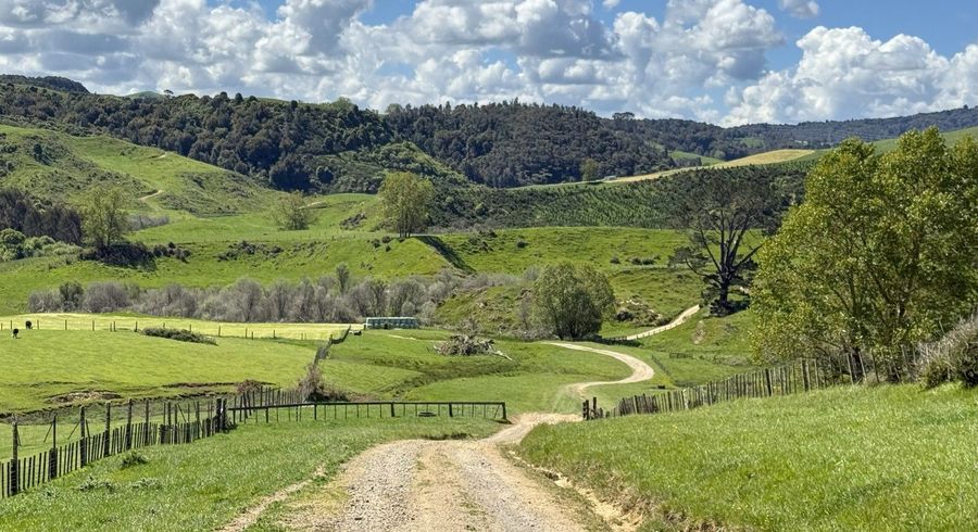  at 1/1745 Arapuni Road, Te Awamutu, Waipa, Waikato