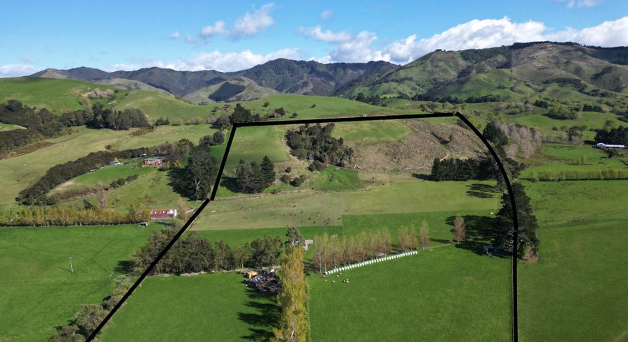  at 421 Haringa Road, Carterton