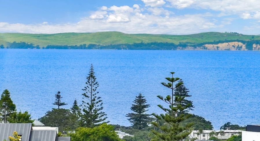  at 5 Wisteria Way, Mairangi Bay, North Shore City, Auckland