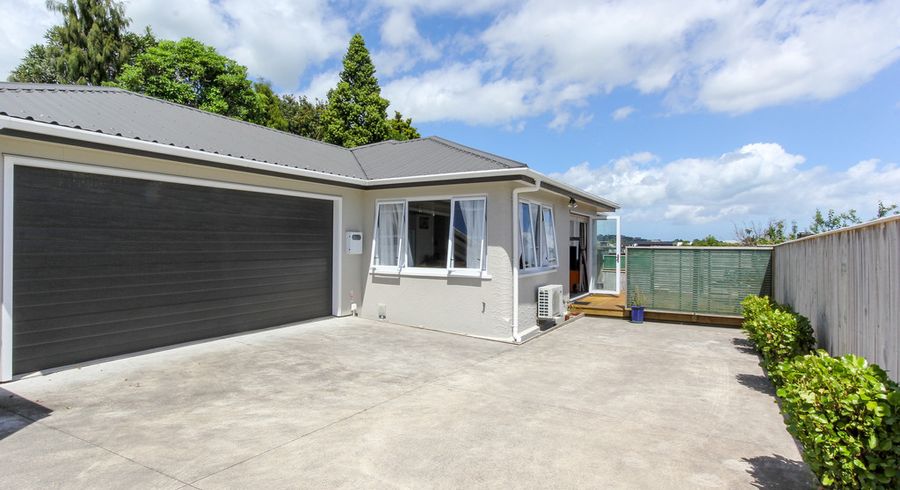  at 458A Carrington Street, Upper Vogeltown, New Plymouth