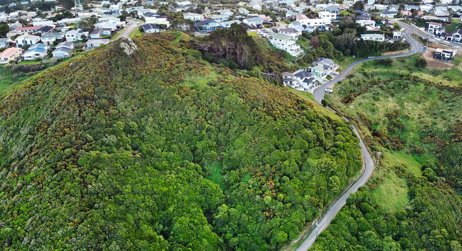  at 166 Glanmire Road, Newlands, Wellington