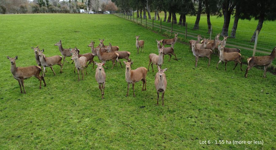  at 0 Tarukenga Road, Ngongotaha Valley, Rotorua