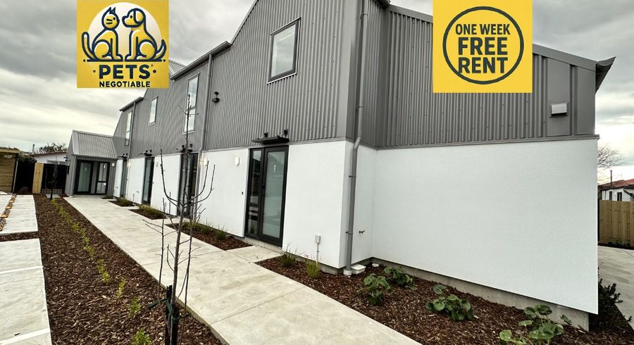  at 3/30 Frederick Street, Waltham, Christchurch City, Canterbury