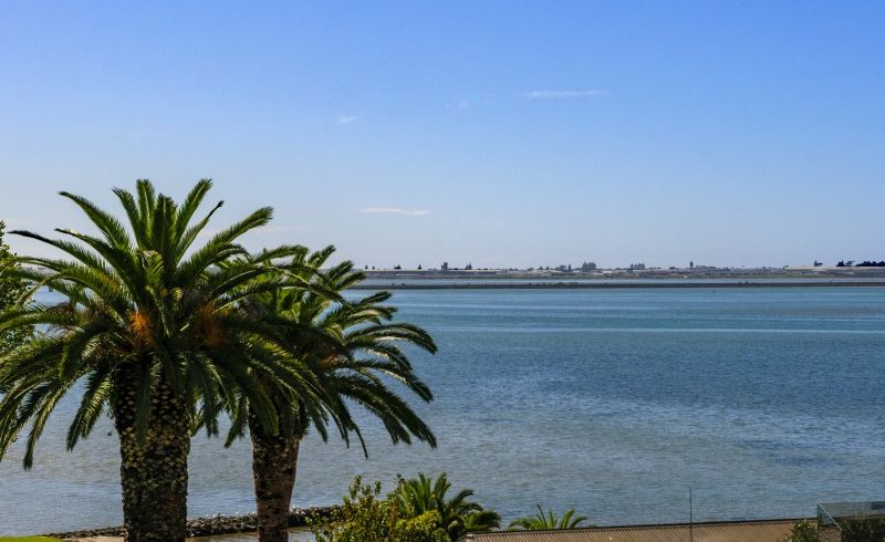  at 11 Eleventh Avenue, Tauranga, Tauranga