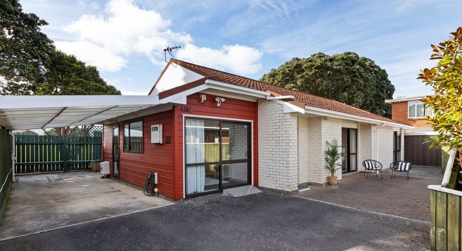  at 48C Britannia Street, Petone, Lower Hutt, Wellington