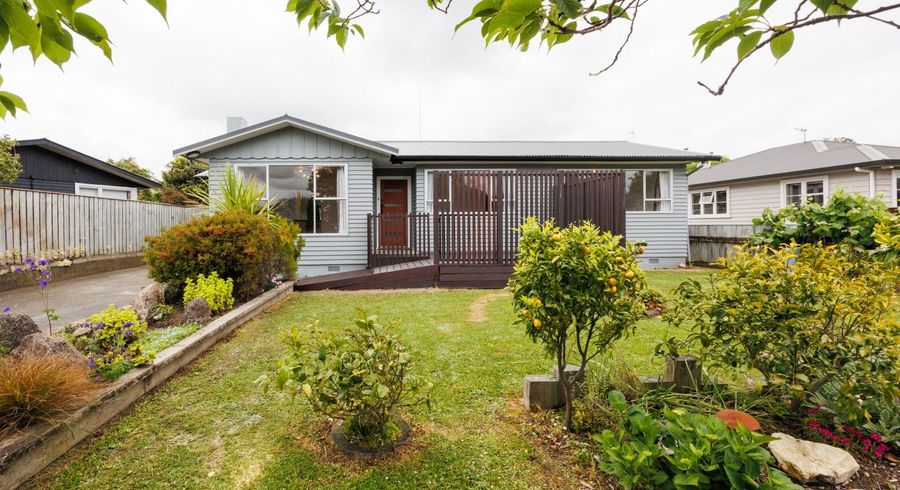  at 24 Akaroa Avenue, Awapuni, Palmerston North, Manawatu / Whanganui