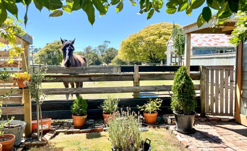  at 9 Cameron Road, Turakina