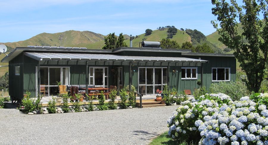 at 313 Upper Waingawa Road, Kaituna, Masterton