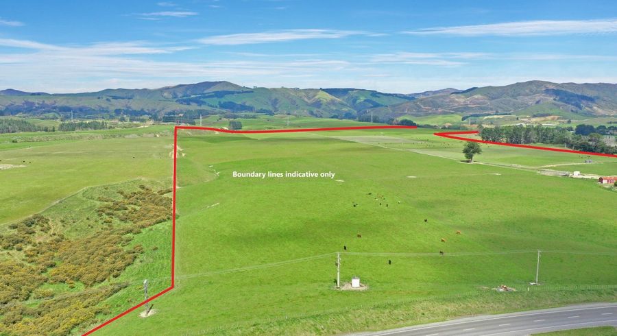  at 537 Tennent Drive, Linton, Palmerston North, Manawatu / Whanganui