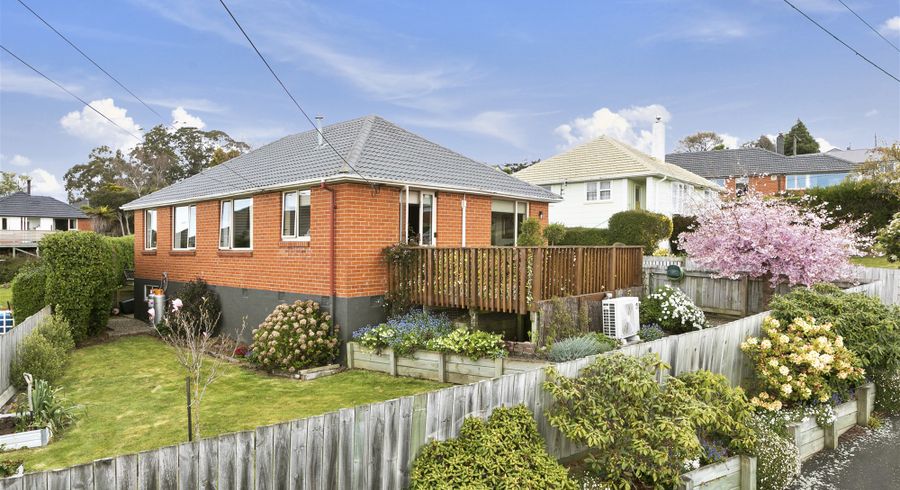  at 11 Balmain Street, Halfway Bush, Dunedin