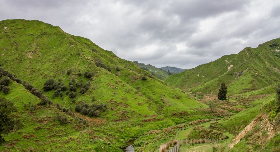  at 950 Waimate Road, WAIMATE NORTH, KERIKERI