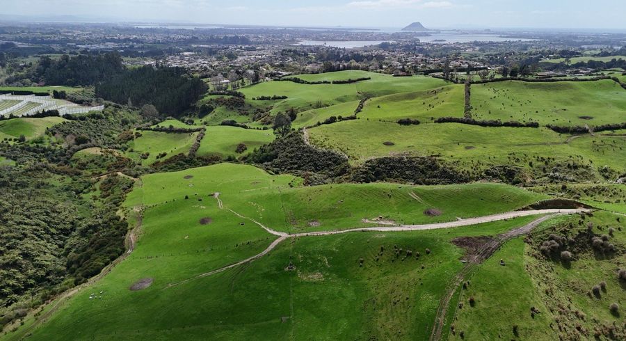  at 412C Upper Ohauiti Road, Ohauiti, Western Bay Of Plenty, Bay Of Plenty