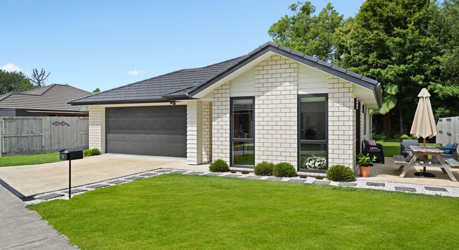  at 9 Marjoriefield Mews, Fitzroy, Hamilton, Waikato