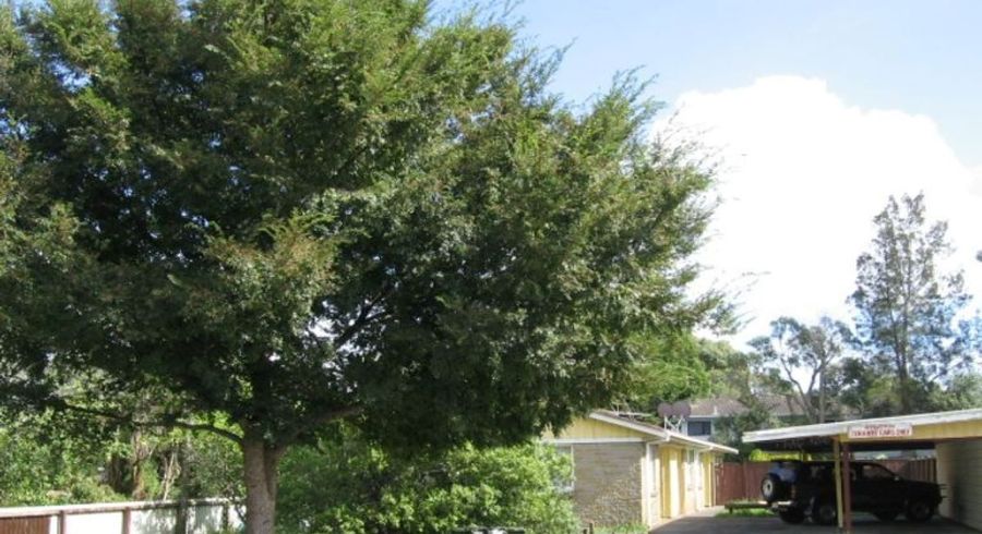  at 3/248 Princes Street East, Otahuhu, Auckland