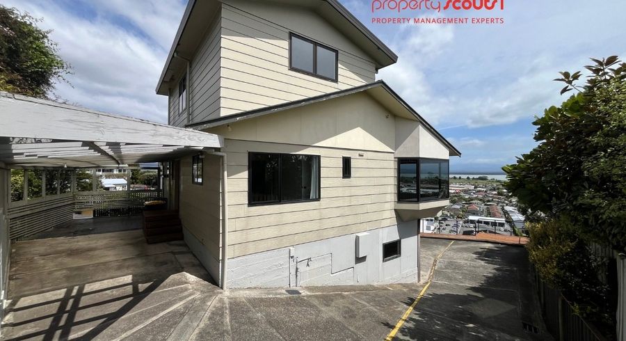  at 24 Chamberlain Street, Tahunanui, Nelson, Nelson / Tasman