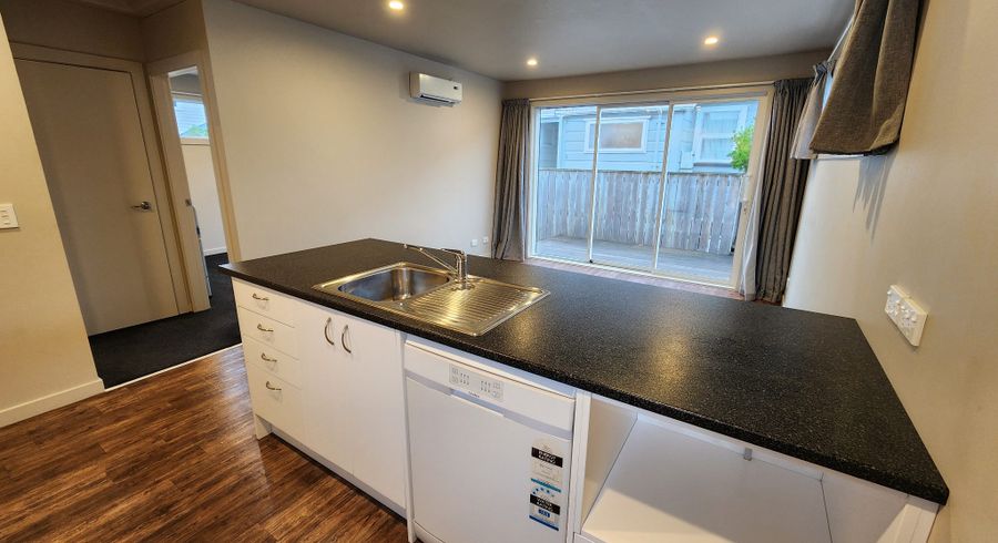  at 19 Scholes Lane, Petone, Lower Hutt, Wellington