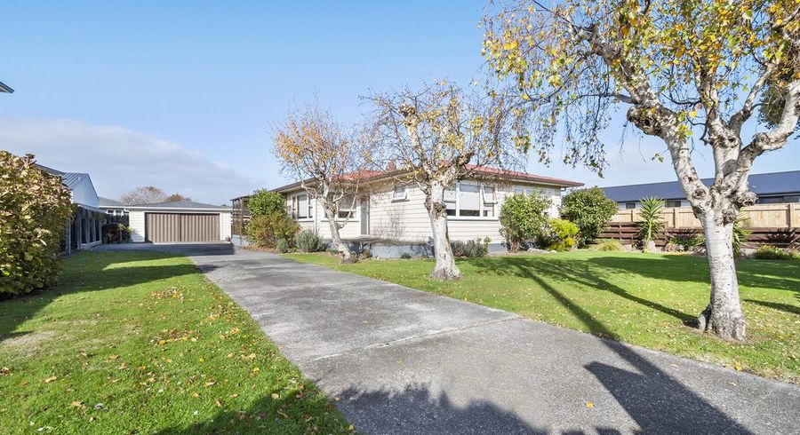  at 448 Tremaine Avenue, Takaro, Palmerston North