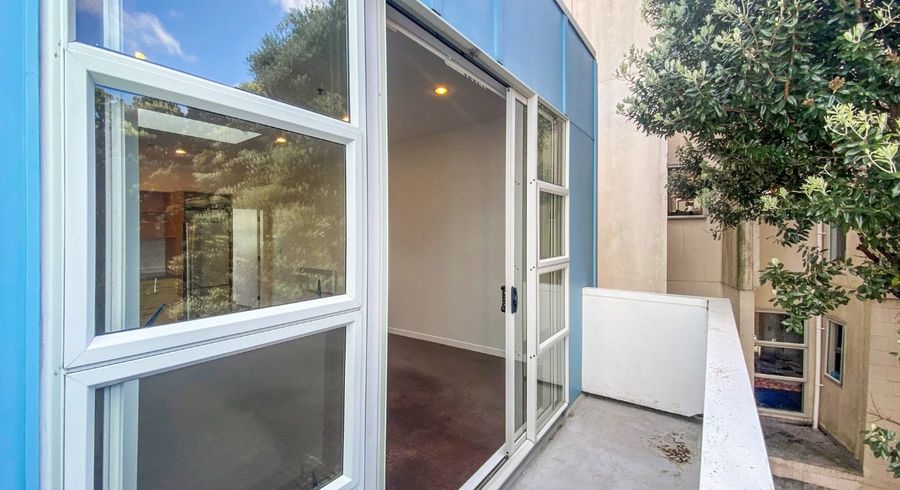  at 22/30 Hanson Street, Mount Cook, Wellington