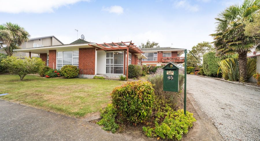  at 45 Dittmer Drive, Awapuni, Palmerston North, Manawatu / Whanganui