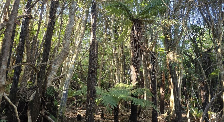  at 7 Rata Street, Stewart Island, Southland, Southland