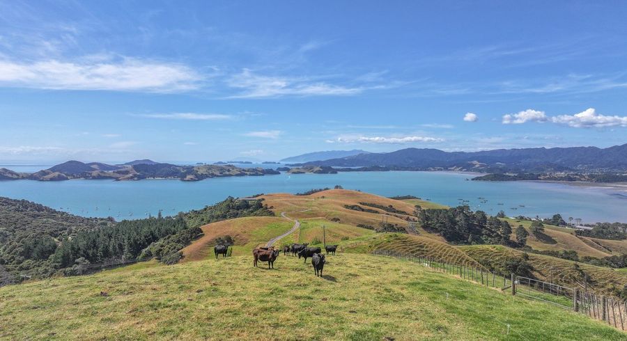  at 1296 Manaia Road, Coromandel, Thames-Coromandel, Waikato
