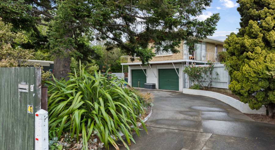  at 41 Dillon Street, Blenheim