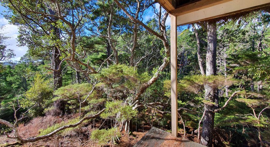  at 12 Lavinia Place, Kawau Island