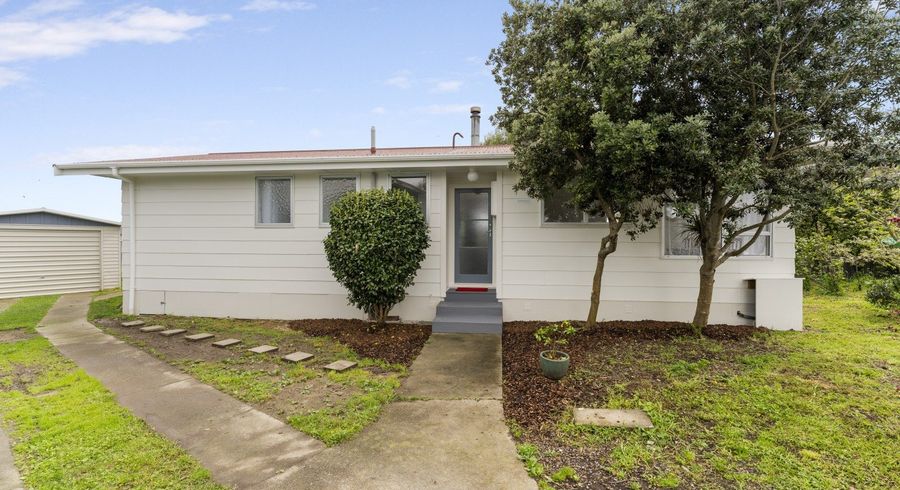  at 14 Adkin Avenue, Levin, Levin