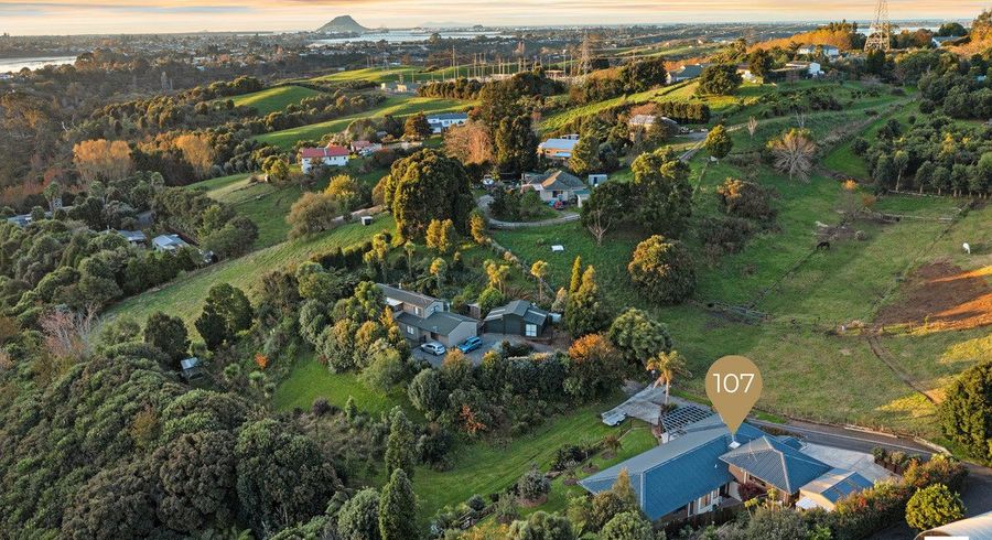  at 107 Panorama Drive, Welcome Bay, Tauranga